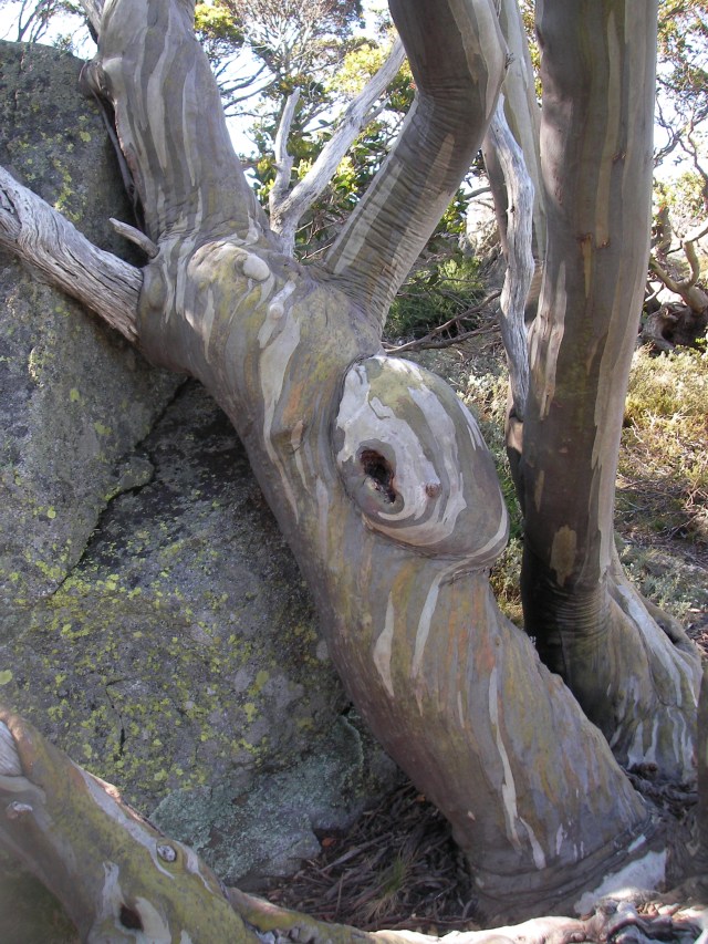 SANYO DIGITAL CAMERA